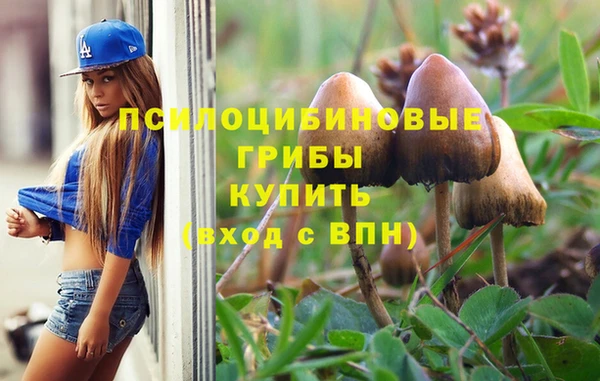 спайс Белокуриха